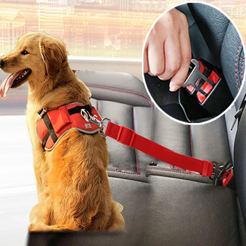 Adjustable Pet Car Seat Belt – Safe Rides, Happy Tails! - Fionity Pet Supplies