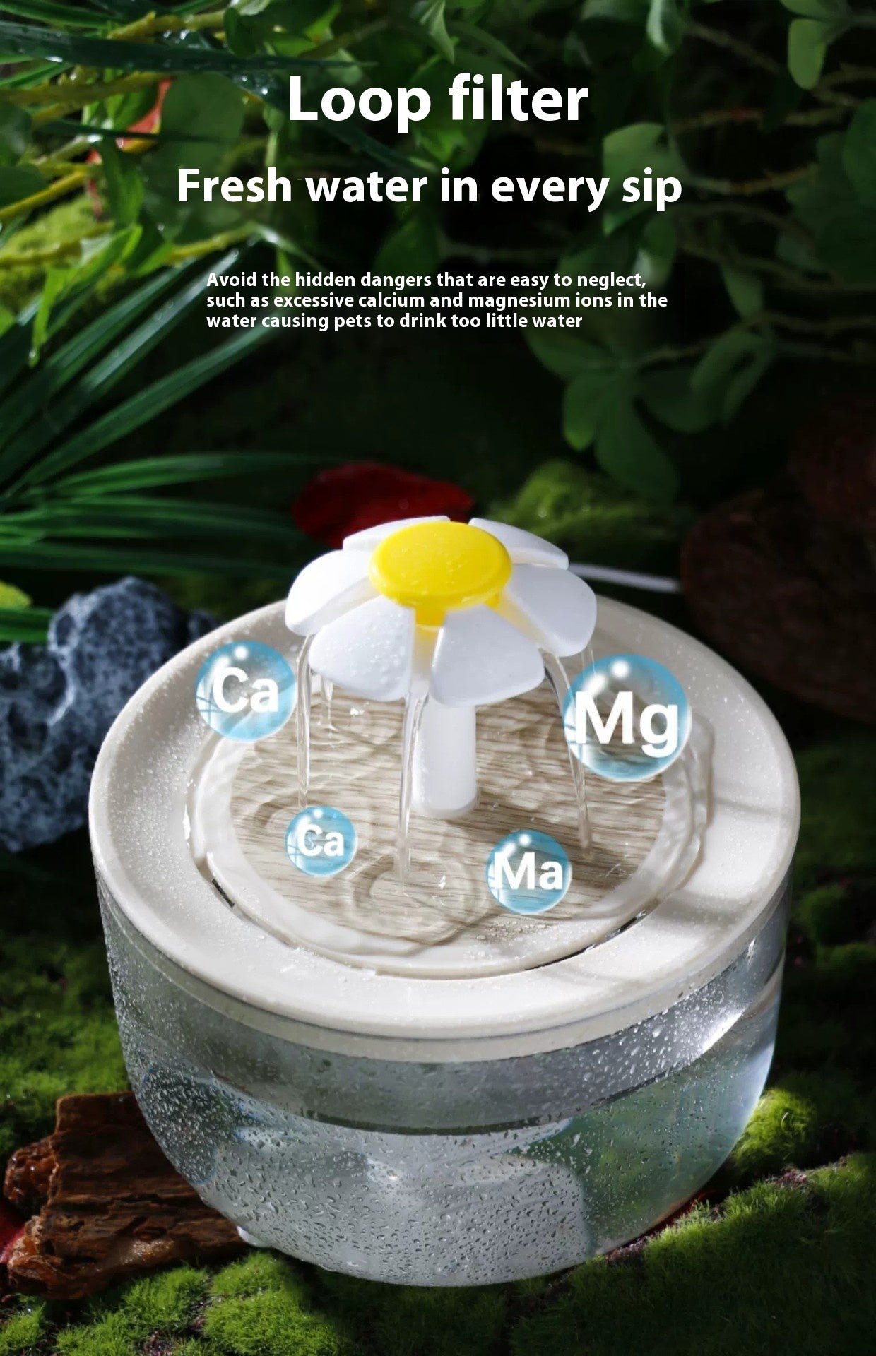 Cat Water Fountain – Automatic Circulation & Constant Temperature - Fionity Pet Supplies