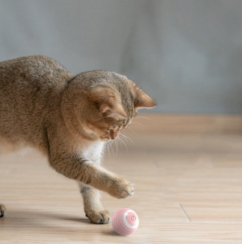 Automatic Smart Rolling Ball for Cats - Fionity Pet Supplies