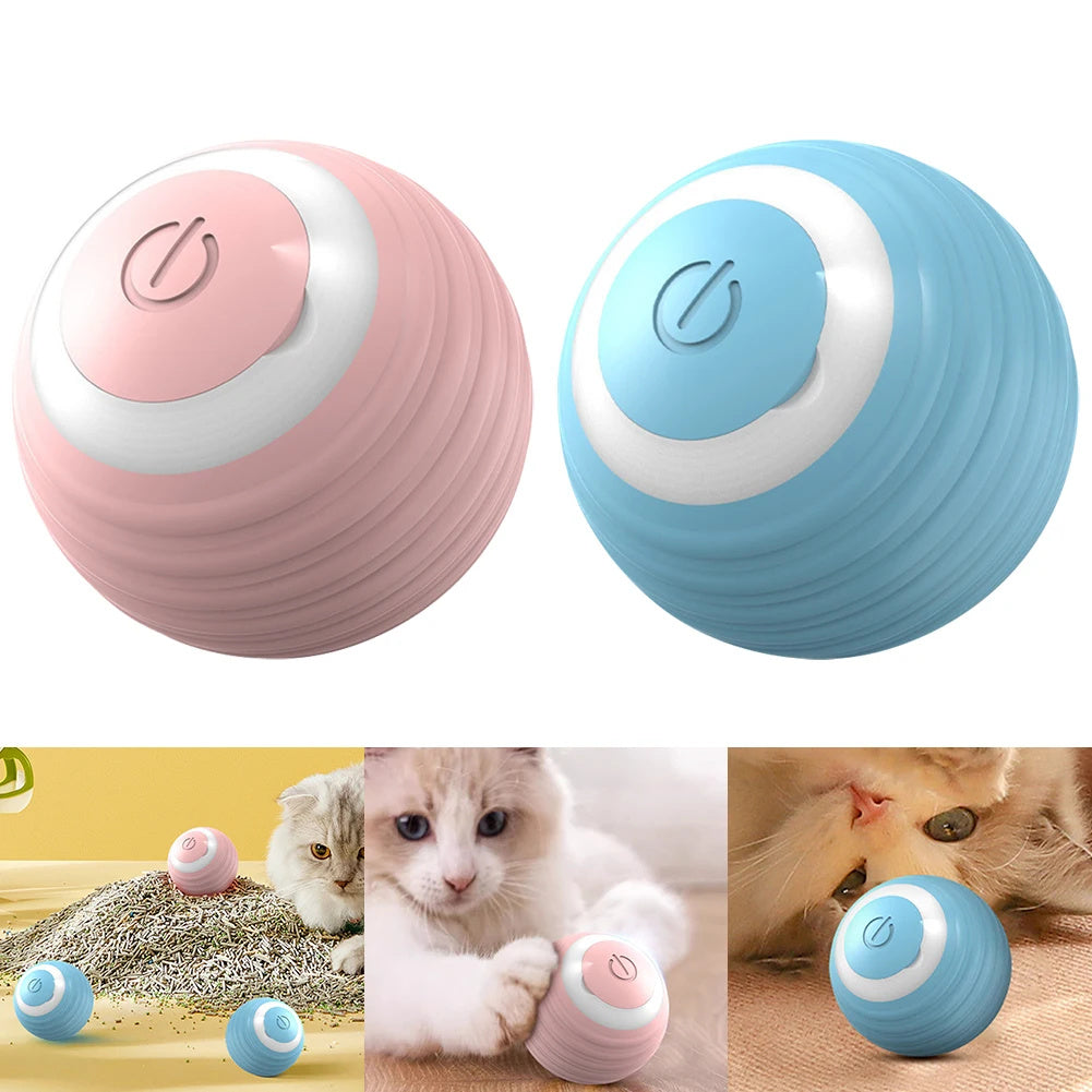 Automatic Smart Rolling Ball for Cats - Fionity Pet Supplies